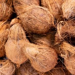 500199C Coconuts (fresh)