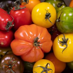 500393C Heritage Tomatoes (fresh)