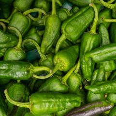500440C Padron Peppers (box) (fresh)