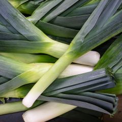 500030C Leeks (fresh)