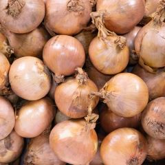 500273C Medium Onions (sack) (fresh)