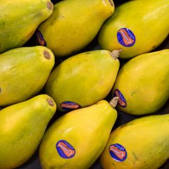 500195C Paw Paw (fresh)