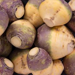 500025C Swede (fresh)