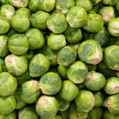 500300C Brussels Sprouts (case) (fresh)