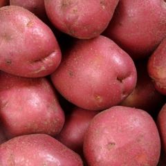 500503C Potatoes - Red Skin (fresh)