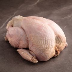 1000243 Whole Large Fresh Turkeys