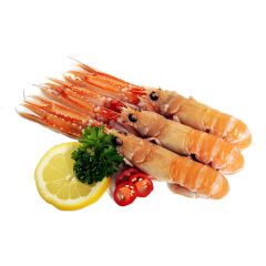 FISH083 Langoustines (frozen)