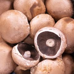 500242C Portabello Mushrooms (fresh)