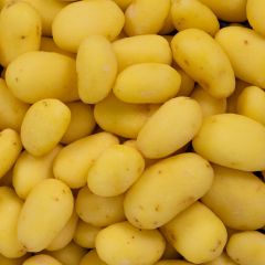 500080C Prepared Peeled Baby Mid Potatoes (pre-order)