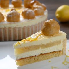 206547C Sicilian Lemon & Orange Charlotte (Chantilly)
