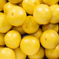 500062C Grapefruit (fresh)