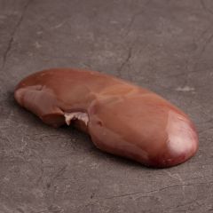 1000116 Pigs Kidney