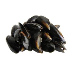FISH044 Mussels (shell on)