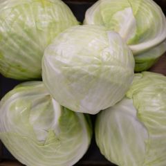 500270C White Cabbage (sack) (fresh)