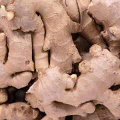 500041C Ginger (fresh)