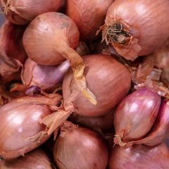 500383C Shallots (bag) (fresh)
