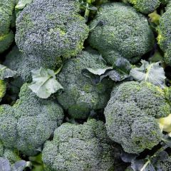 500004C Broccoli (fresh)