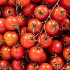 500074C Cherry Tomatoes on the Vine (fresh)