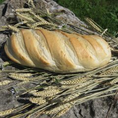 204938C Baltic Loaf (Planete Pain)