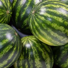 500068C Water Melons (fresh)