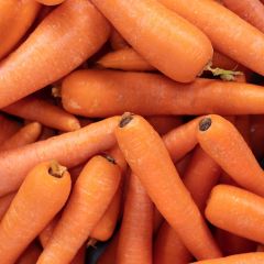 500013C Carrots (fresh)
