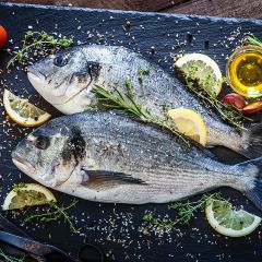FISH050 Sea Bream