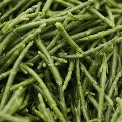 500301C Samphire (fresh)