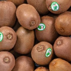 500061C Kiwi Fruit (fresh)