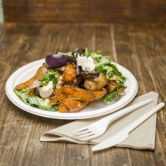 309260S Bagasse Plate 9inch (Vegware)