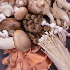 500166C Wild Mushrooms (fresh)