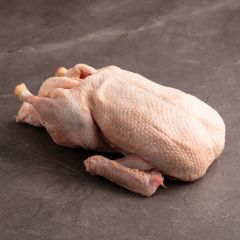 1000498 Whole Fresh Ducks (pre-order)