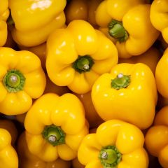 500261C Yellow Peppers (box) (fresh)