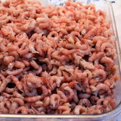 FISH081 Brown Shrimps 200g