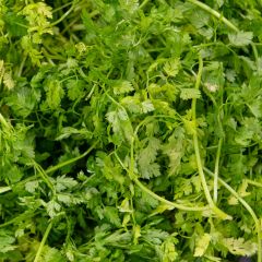 500150C Chervil (fresh)