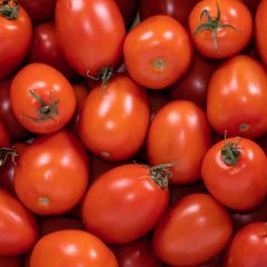 500381C Plum Tomatoes (box) (fresh)