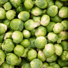 500343C Baby Sprouts (case) (fresh)