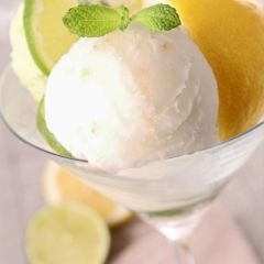 204952C Lemon & Lime Sorbet (Doddington Dairy)