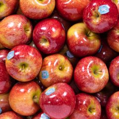 500226C Braeburn Apples (fresh)