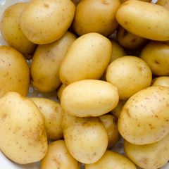 Baby Mid Potatoes (box) (fresh)