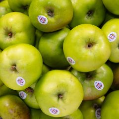 500378C Bramley Apples (box) (fresh)