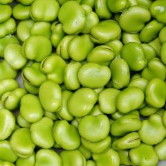 500318C Broad Beans (box) (fresh)