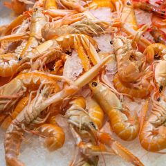 FISH083 Langoustines (frozen)