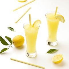 Edible Lemon Straws (Sorbos)