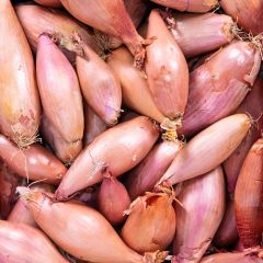 500384C Banana Shallots (sack) (fresh)