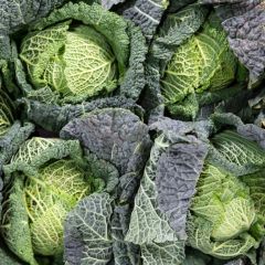 Savoy Cabbage (fresh)