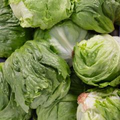 500278C Iceberg Lettuce (case) (fresh)