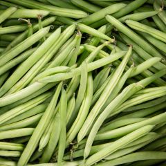 500046C Fine Green Beans (fresh)