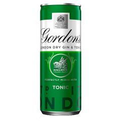 Gordon's London Dry Gin & Tonic Cans