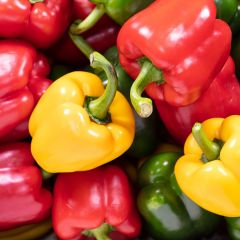 500357C Mixed Peppers (box) (fresh)