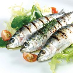 205810S Sardines (Ocean Pearl)
